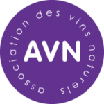 avn_-_logo
